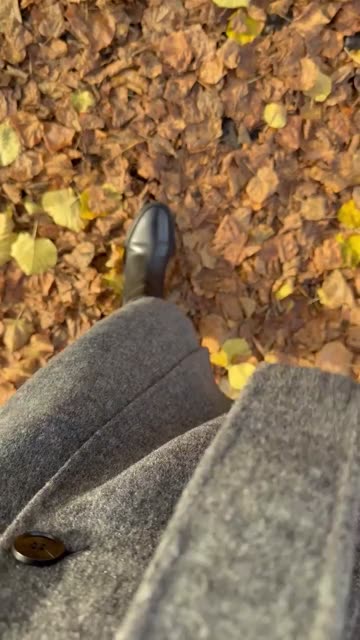Autumn walk reference clip